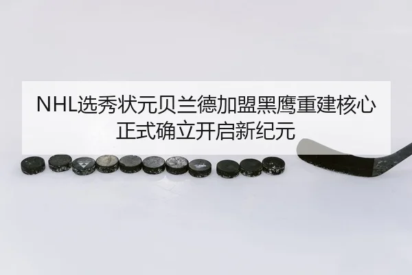 xuan-xiu-zhuang-yuan-bei-lan-de-jia-meng-hei-ying-chong-jian-he-xin-zheng-shi-que-li-kai-qi-xin-ji-yuan-3-161.jpg