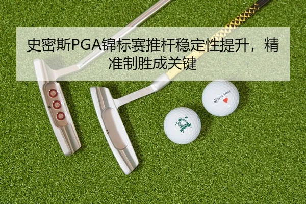 shi-mi-si-jin-biao-sai-tui-gan-wen-ding-xing-ti-sheng-jing-zhun-zhi-sheng-cheng-guan-jian-2-814.jpg