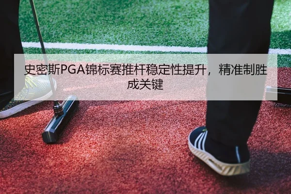shi-mi-si-jin-biao-sai-tui-gan-wen-ding-xing-ti-sheng-jing-zhun-zhi-sheng-cheng-guan-jian-3-422.jpg